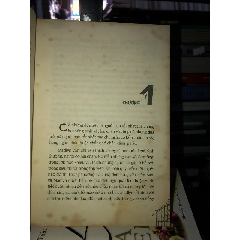 Bầy thú hoang lông trắng - Eva Ibbotson  994692