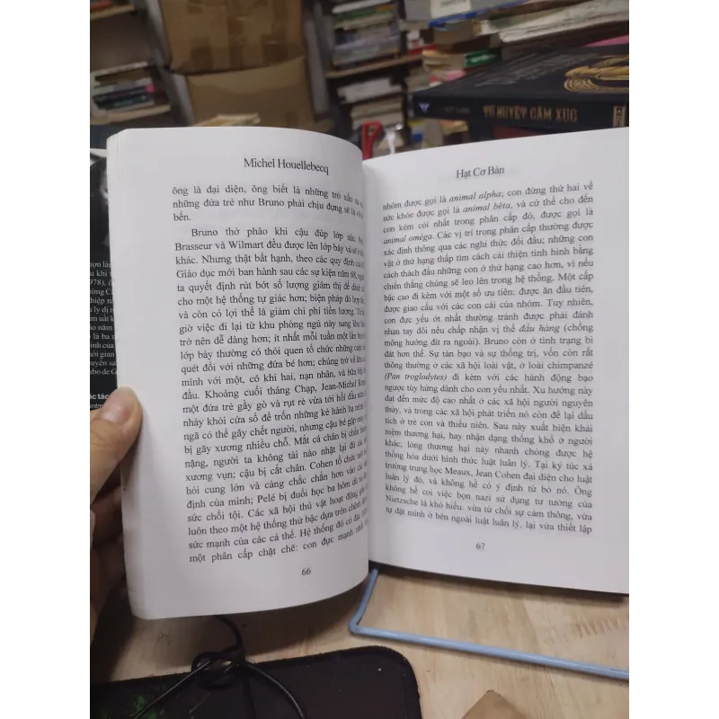 Sách: Hạt cơ bản (Tiếu thuyết) - TG: Michel Houellebecq (A2) 994305