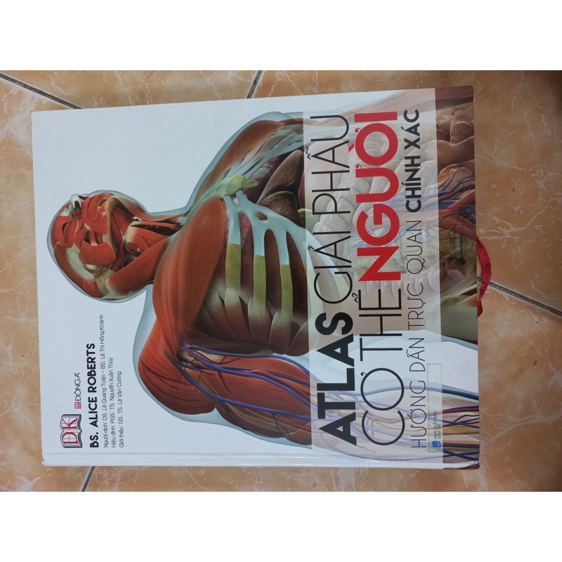 Atlat giải phẫu cơ thể người  135610