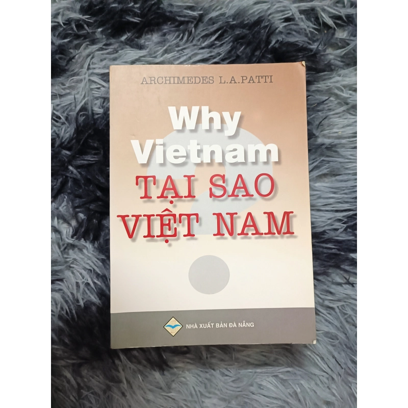 Why Việt Nam (Patti) 553086