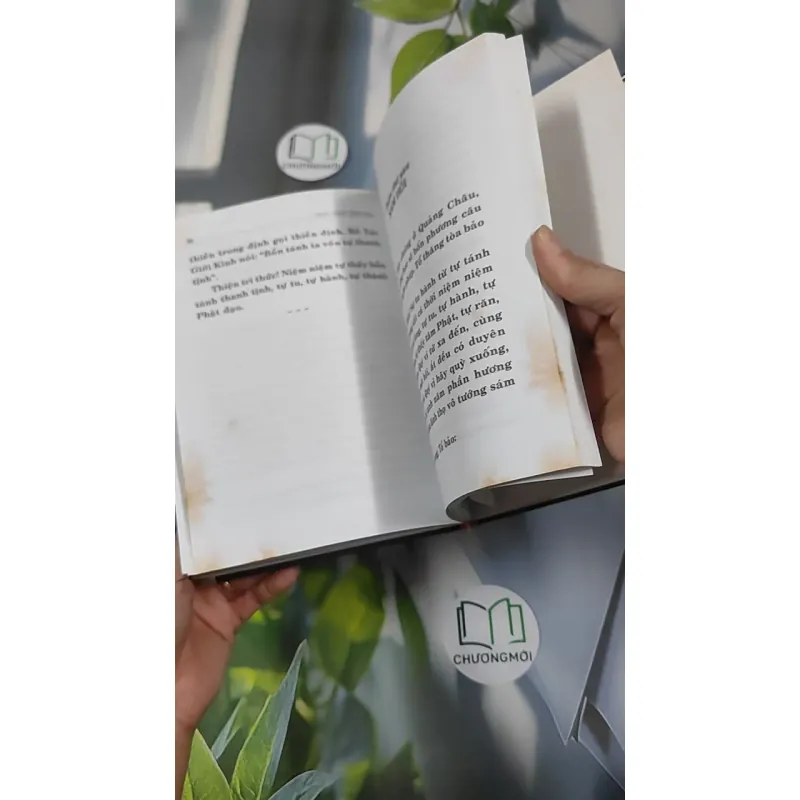 Kinh Pháp Bảo Đàn - Thích Giác Phổ 990458