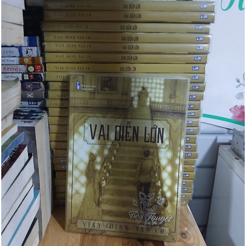 Vai diễn lớn - Vian Dinh Van Co 387869