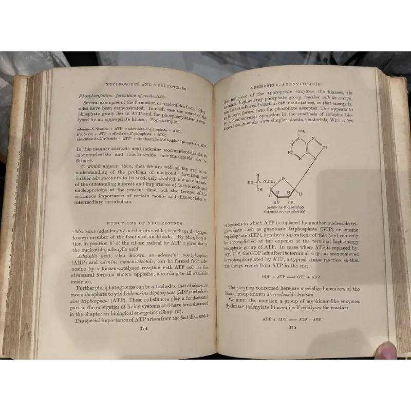 Dynamic Aspects of Biochemistry - Baldwin 628553