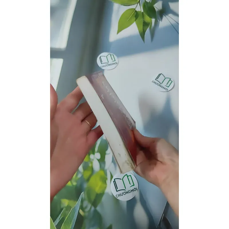 Các Triều Đại Việt Nam - Quỳnh Cư & Đỗ Đức Hùng 970263