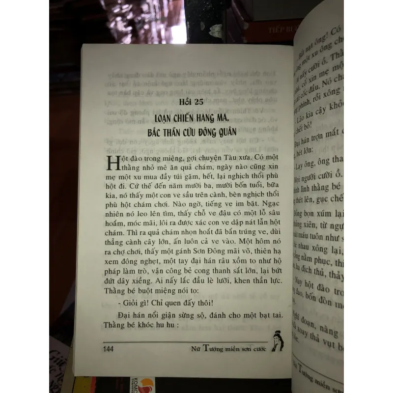 Nữ tướng miền sơn cước (Giặc cái) - Hoàng Ly 993328