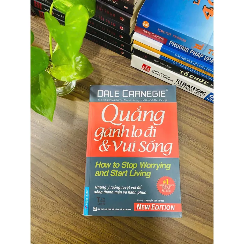 QUẲNG GÁNH LO ĐI VÀ VUI SỐNG 563479
