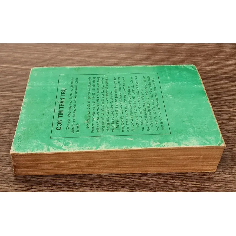 Tiểu thuyết Mỹ CON TIM TRẦN TRỤI 798938