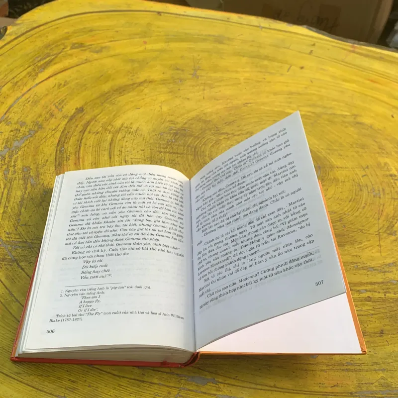 RUỒI TRÂU- ETHEL L. VOYNICH bìa cứng 783355