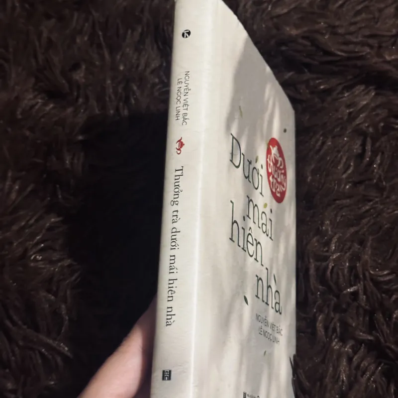 Dưới mái hiên nhà (bìa cứng) 1031523