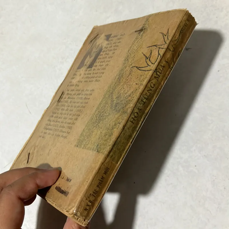 Hoa từng mùa  590315