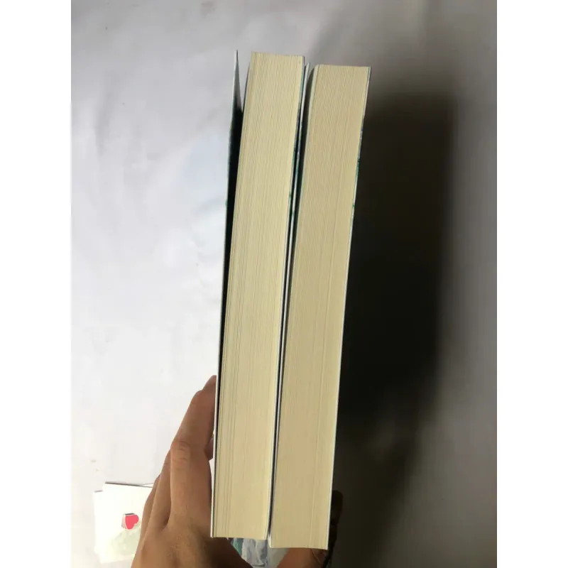 Trọn bộ 2 tập Đánh Cắp Trái Tim Anh - Dung Quang 731141