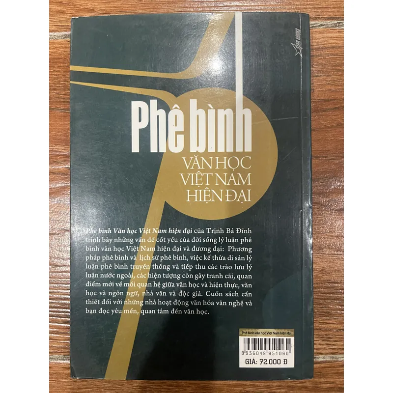 Phê bình văn học Việt Nam hiện đại - Trịnh Bá Đĩnh (8) 593342