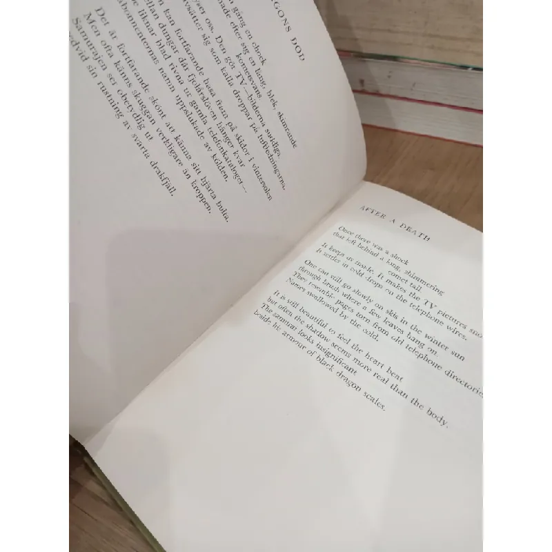 Night Vision - Tomas Tranströmer 698820