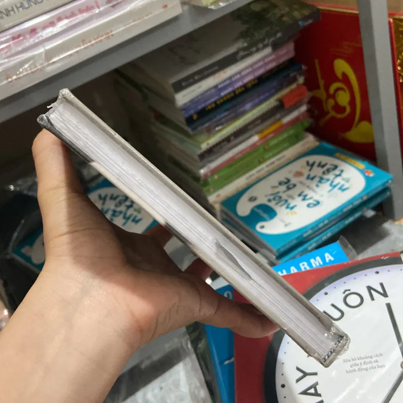 Từ Phú Điền đến New York - Tuyết Lan 960923