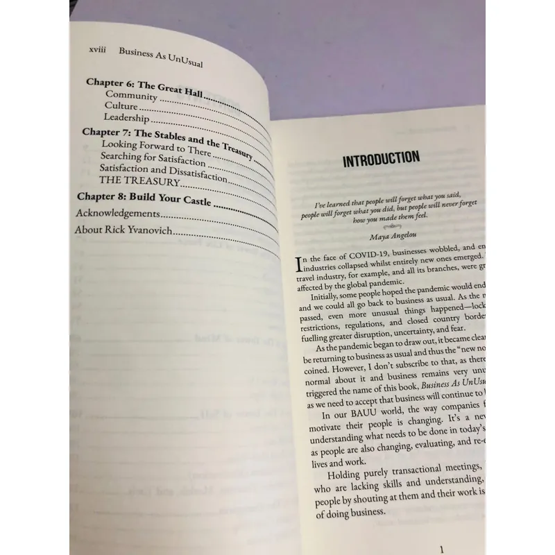 📖 BUSINESS AS UNUSUAL – Rick Yvanovich 601983