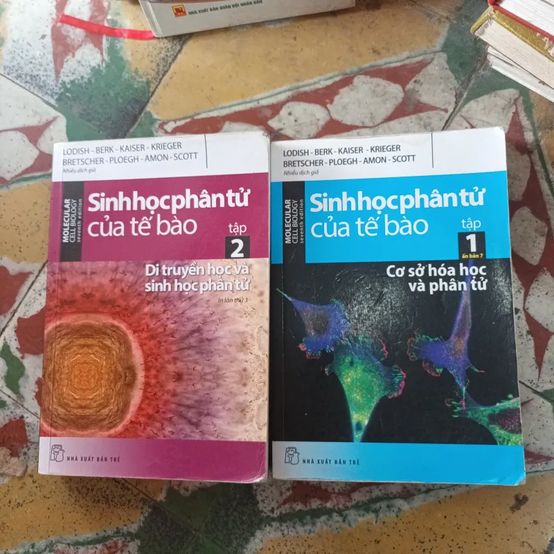 Sinh Học Phân Tử Của Tế Bào- Lodish- Berk..  977706