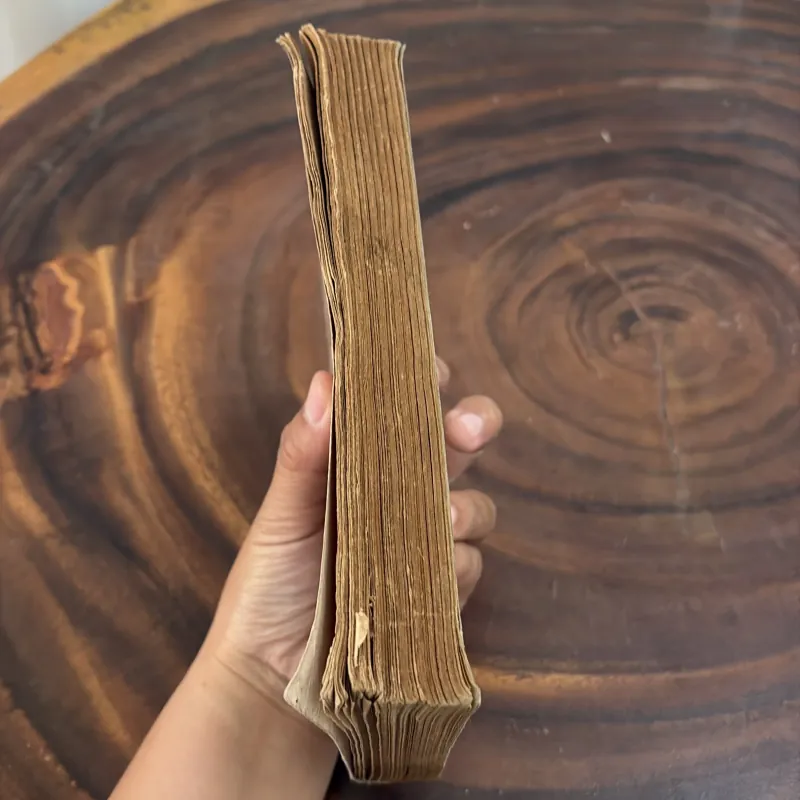 II Văn Học Pháp: Lão Gôriô - ÔNÔRÊ ĐƠ BANZĂC - 1976 1008502