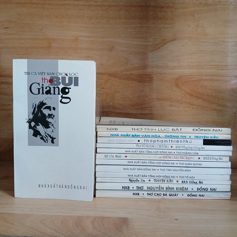 Thi Ca Việt Nam Chọn Lọc - Bùi Giáng, Vũ Hoàng Chương, Phạm Thiên Thư, Hoàng Cầm... 410235