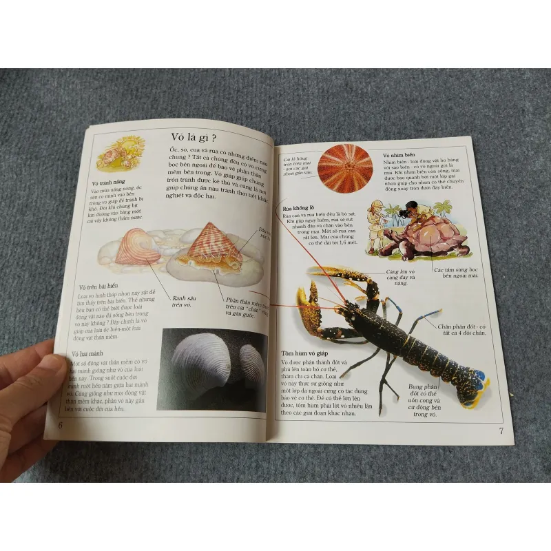 ÁO GIÁP ĐỘNG VẬT 720729