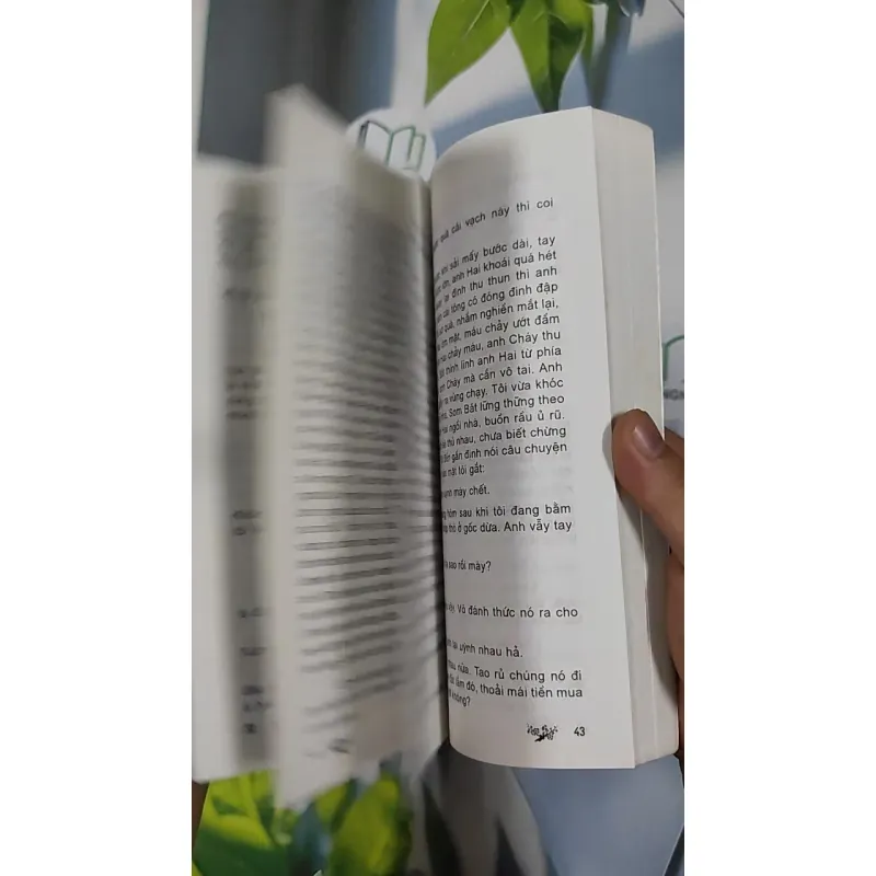 Chú Tư Con Là Ai - Thăng Sắc 798465