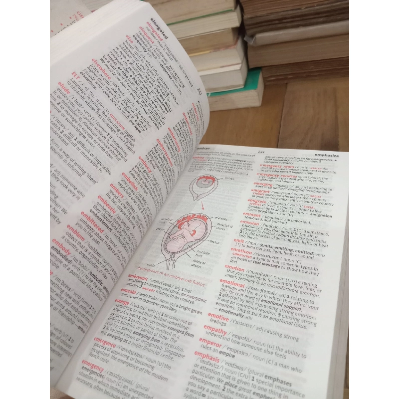 Macmillan school dictionary 969735