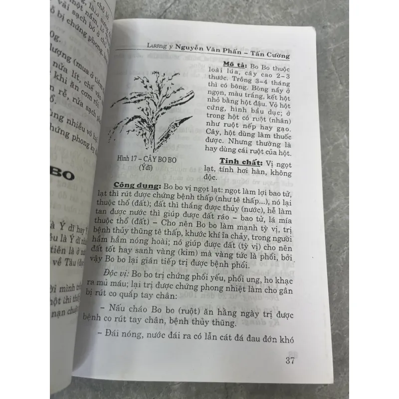 TỰ CHỮA BỆNH BẰNG CÂY THUỐC NAM THÔNG DỤNG DỄ TÌM - TẤN CƯỜNG, NGUYỄN VĂN PHẤN 785861