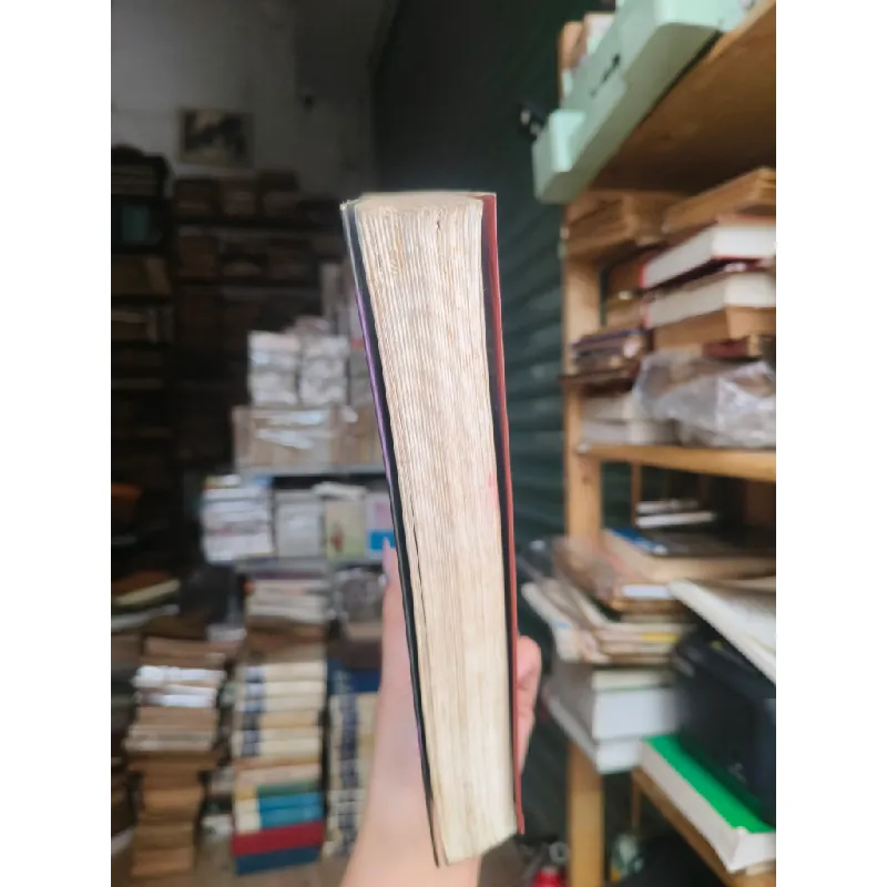 Vòng xoáy chết - Suzuki Koji 271876