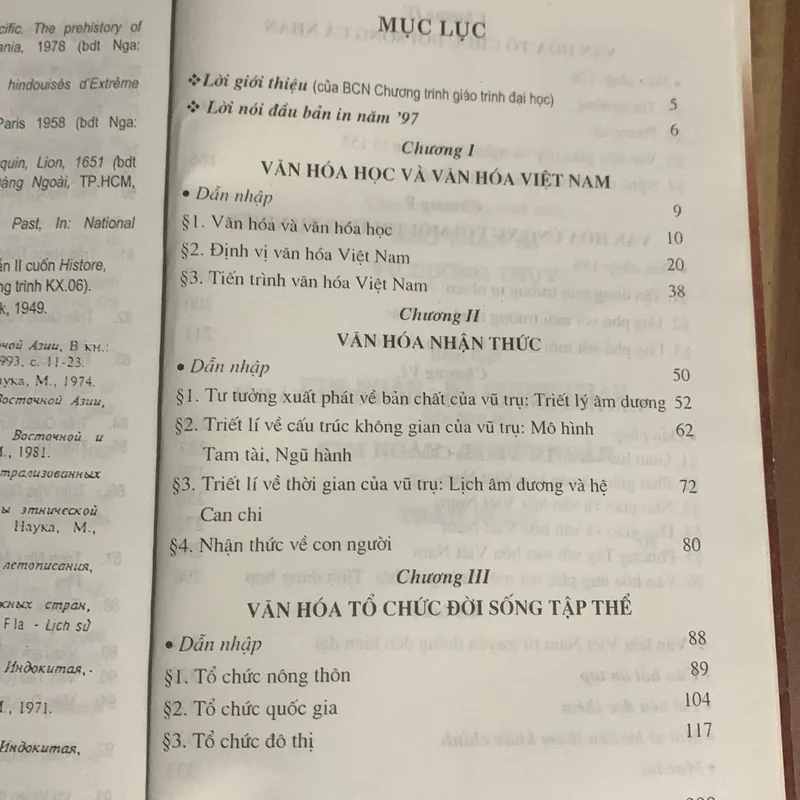 Cơ sở văn hoá Việt Nam, Trần Ngọc Thêm 713186