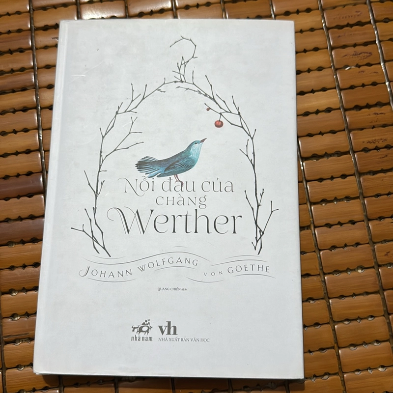Nỗi đau của chàng Wether 537320