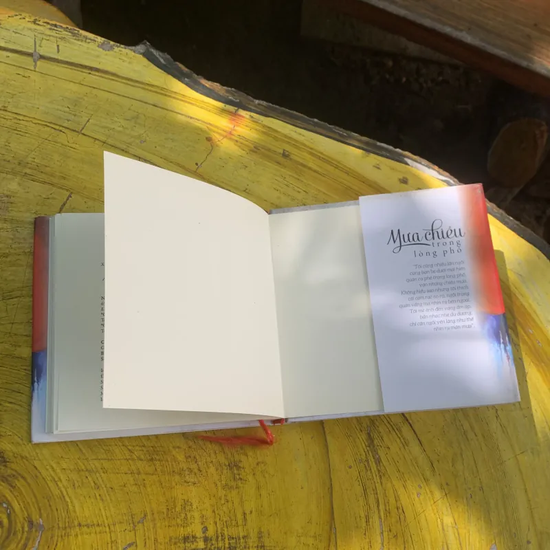 MƯA CHIỀU TRONG LÒNG PHỐ- tản văn- XUÂN PHONG 752454