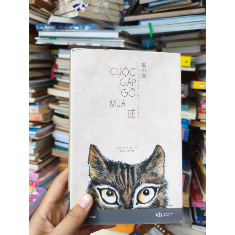 Cuộc gặp gỡ mùa hè 🌱 469357