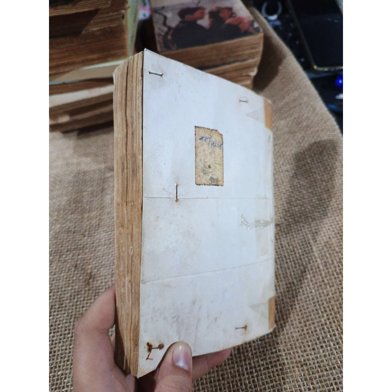 Ngọn tơ hồng - Nhật Hạnh 2006 mới 70% (Văn học Việt Nam) HLSC2404 1028463