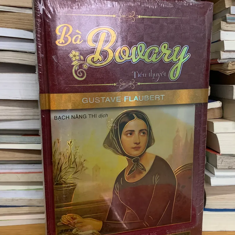 Bà Bonary (Tiểu thuyết) 563024