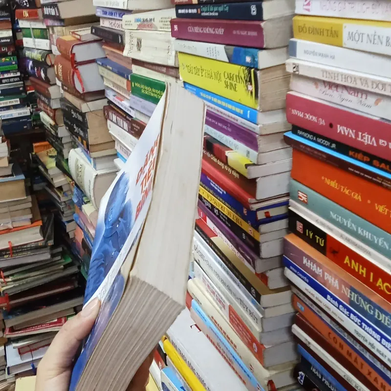 Đặng Tiểu Bình Một Trí Tuệ Siêu Việt - Lưu Cường Luân 999195