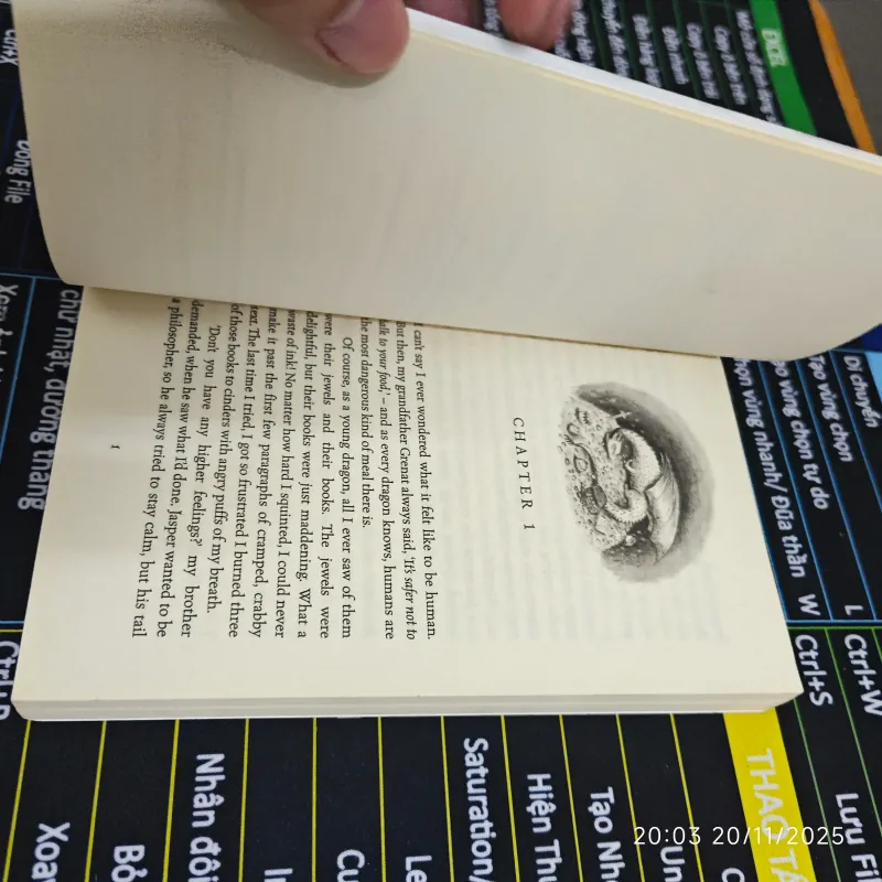 Dragon With a Chocolate Heart - Stephanie Burgis 702833