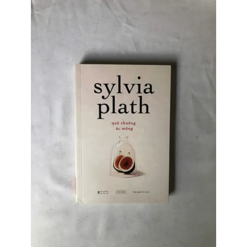 Sách đã qua sử dụng Quả Chuông Ác Mộng - Sylvia Plath 1022857