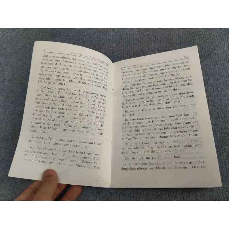 CÂU SẤM VĨ VỀ NGÀN LAU TÍM - NGÔ VĂN PHÚ 993223