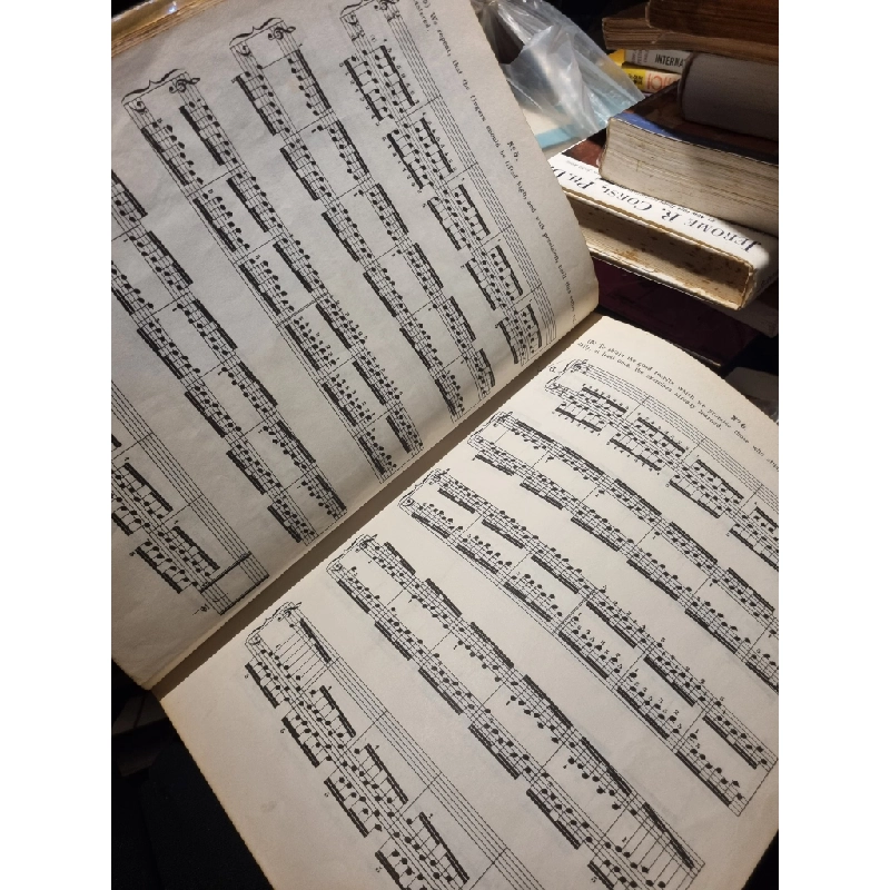 Schirmer's Library of Musical Classics 331894