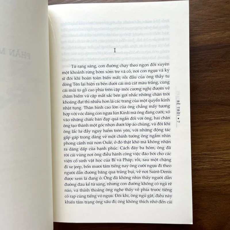 Rễ trời - Romain Gary 1005450