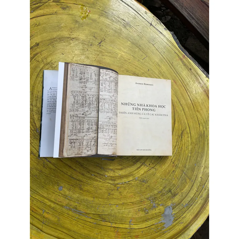NHỮNG NHÀ KHOA HỌC TƯƠNG LAI- ANDREW ROBINSON 603286