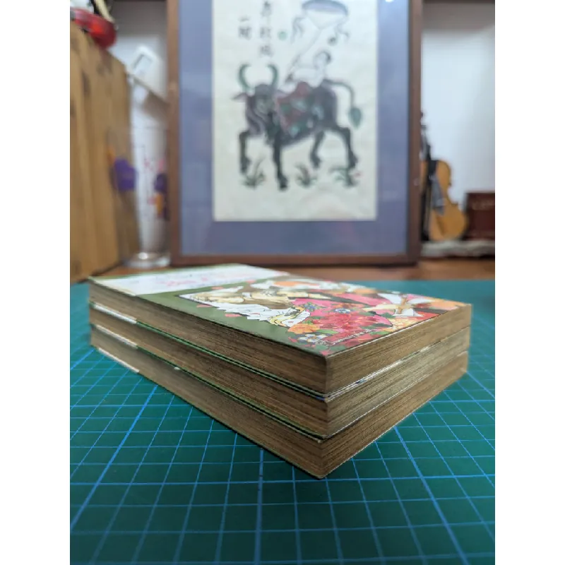 Truyện tranh Natsume's Book Friends 557179