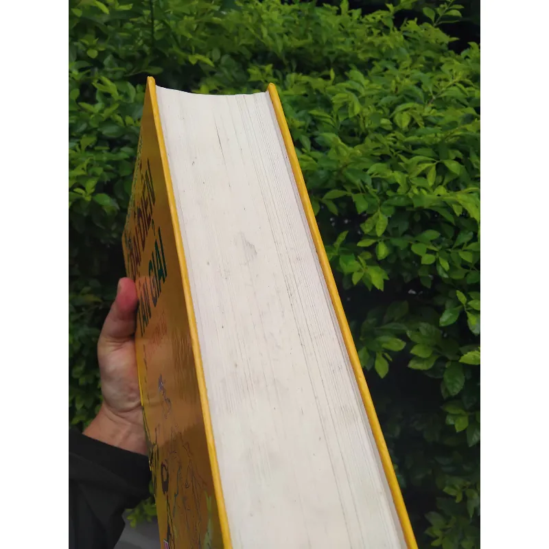 Kinh Dịch đại diễn tân giải  1000279