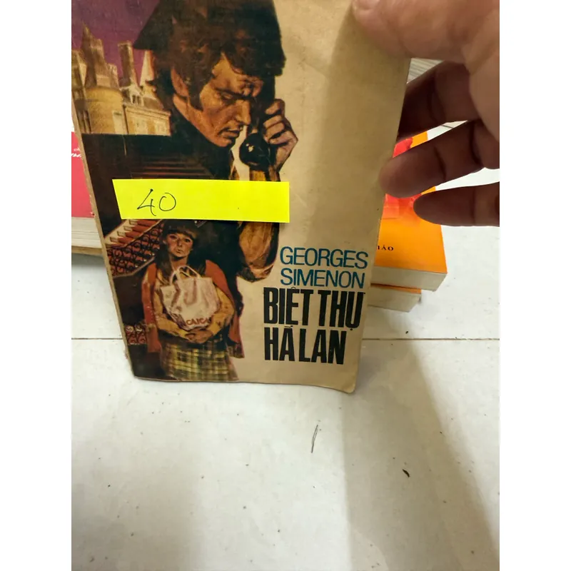 Biệt thự hà lan  593316