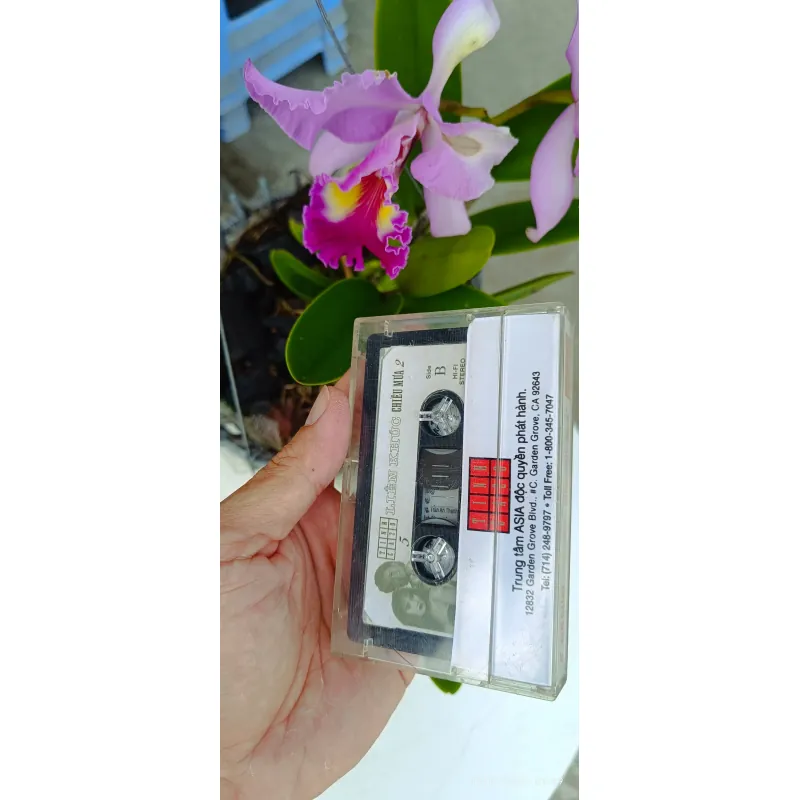 Băng Cassette Nhạc Liên Khúc Chiều Mưa 2 957104