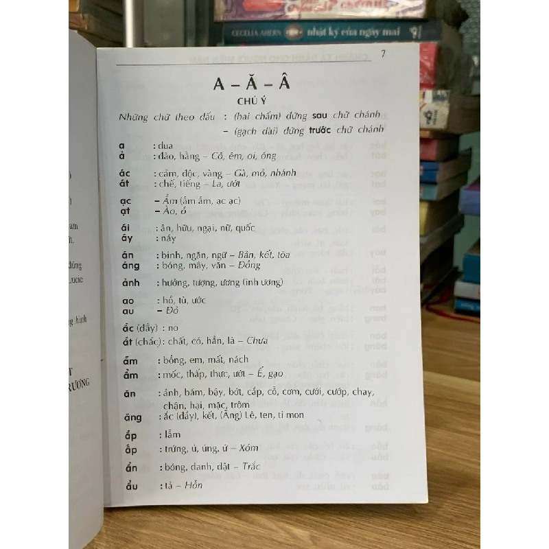 Chánh tả dành cho người miền nam 750654