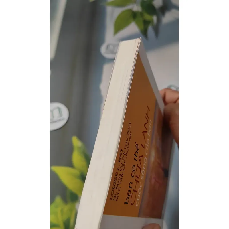 Bạn Có Thể Chữa Lành Cuộc Sống Của Bạn - Louise L. Hay 727270
