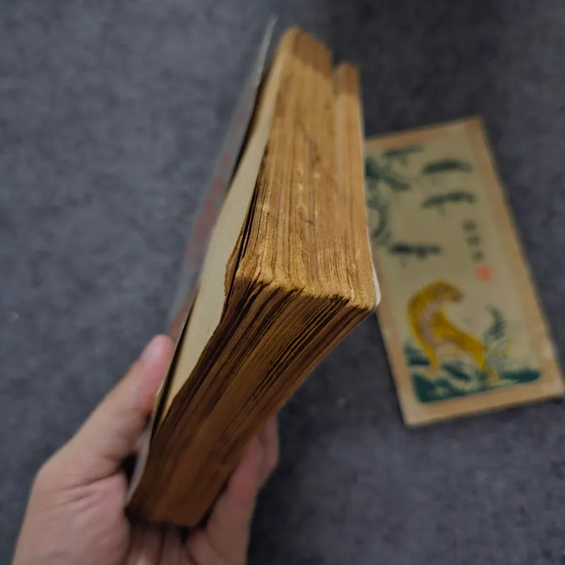 Đời bí ẩn của Salvador Dali 755410