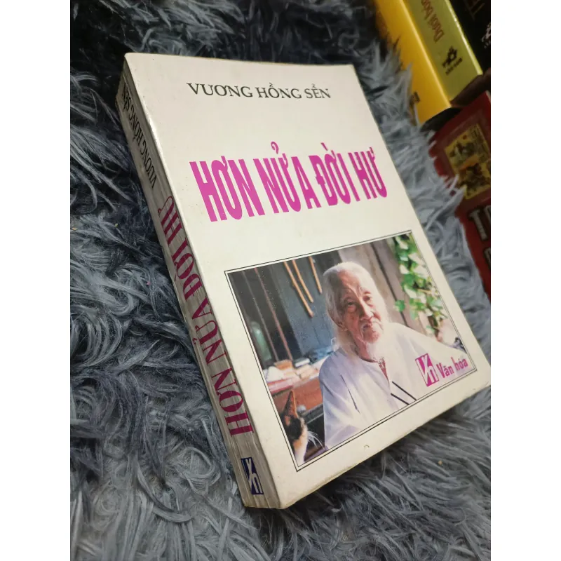 Hơn nửa đời hư (Vương Hồng Sển) 778941