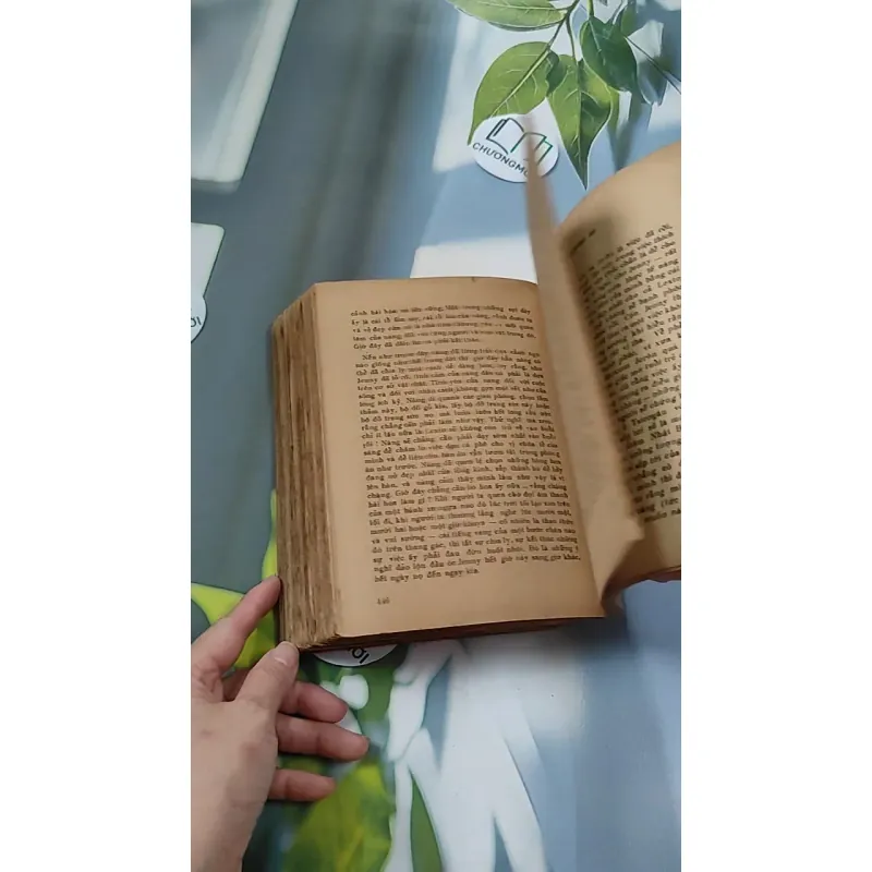 [XƯA] Jenny Ghechac 1 (1986) - Theodor Dreiser 776082