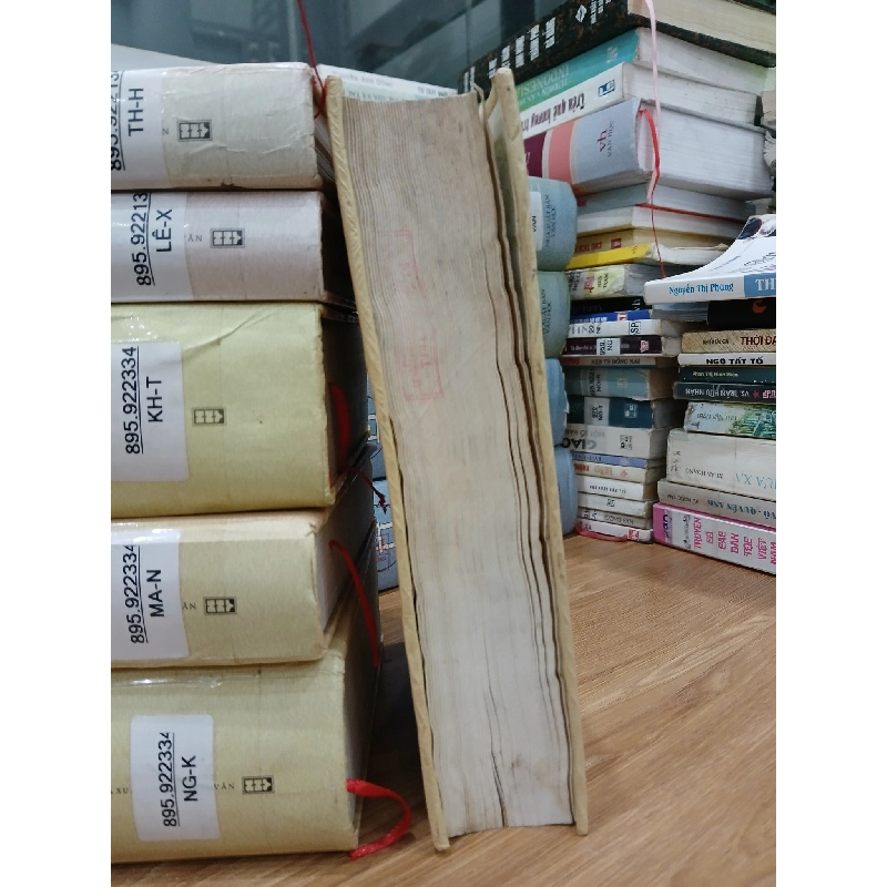 Đất rừng phương Nam – Cá bống mú – Hoa hướng dương – Đoàn Giỏi 592419